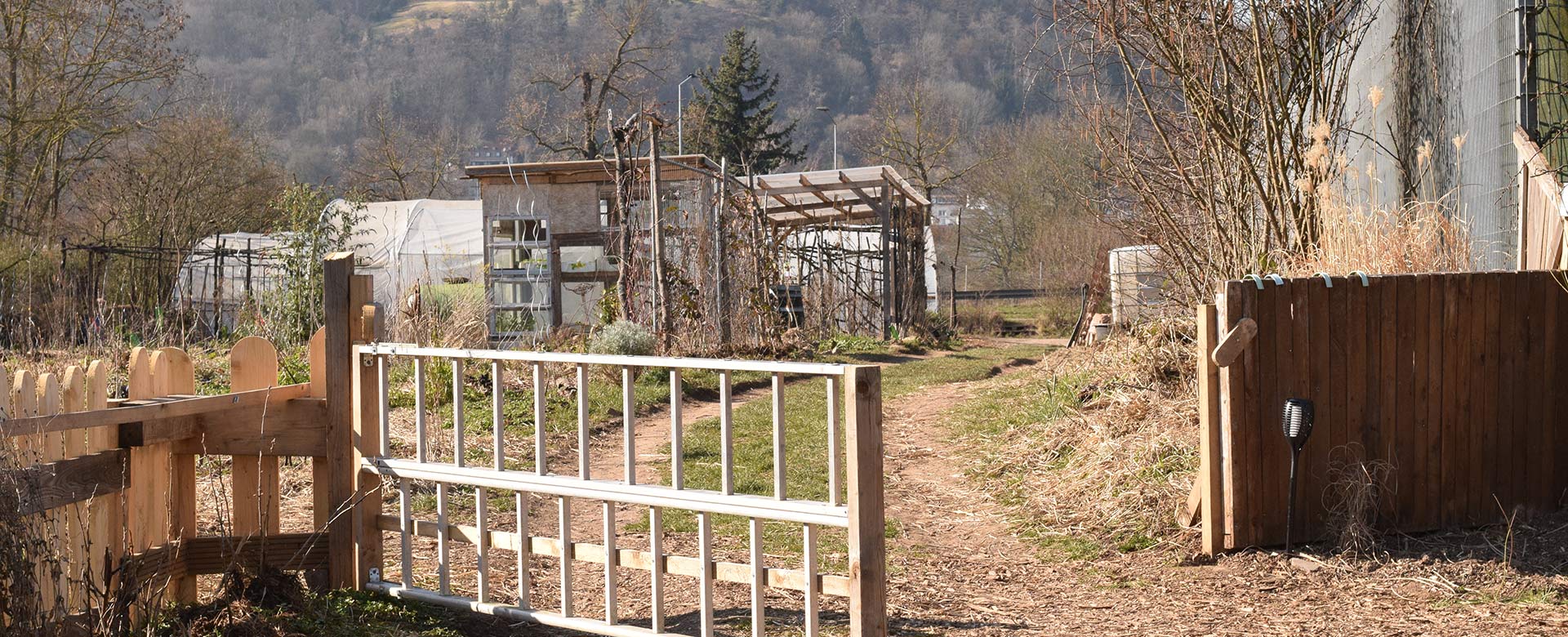 Solawi Gemeinschaftsgarten Trier, Frühjahr 2022