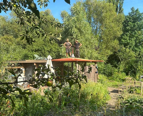 Solawi Trier Dachbegrünung Outdoorküche