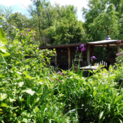 Gemeinschaftsgarten Trier