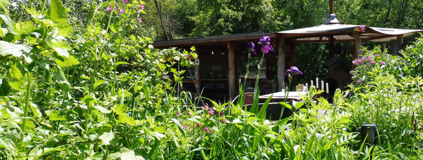 Gemeinschaftsgarten Trier