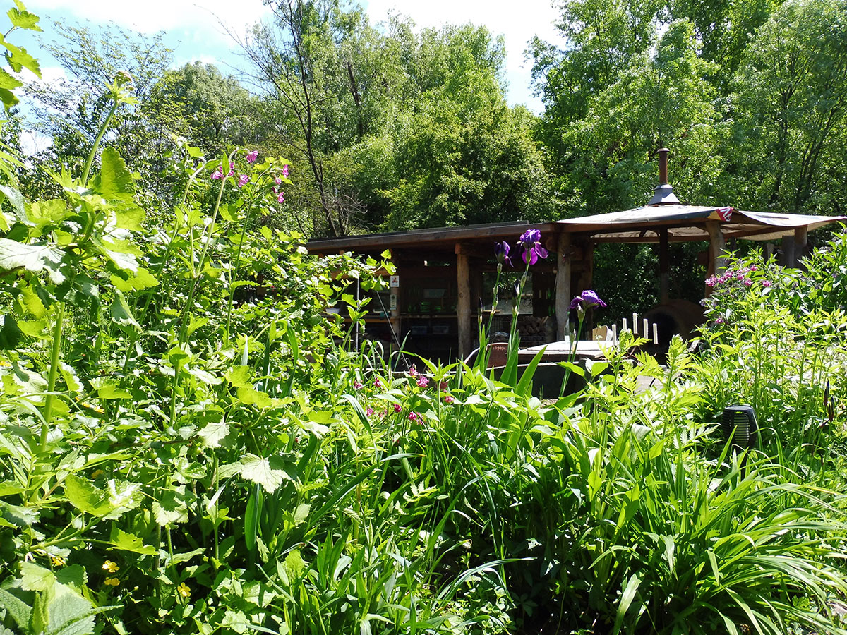 Gemeinschaftsgarten Trier