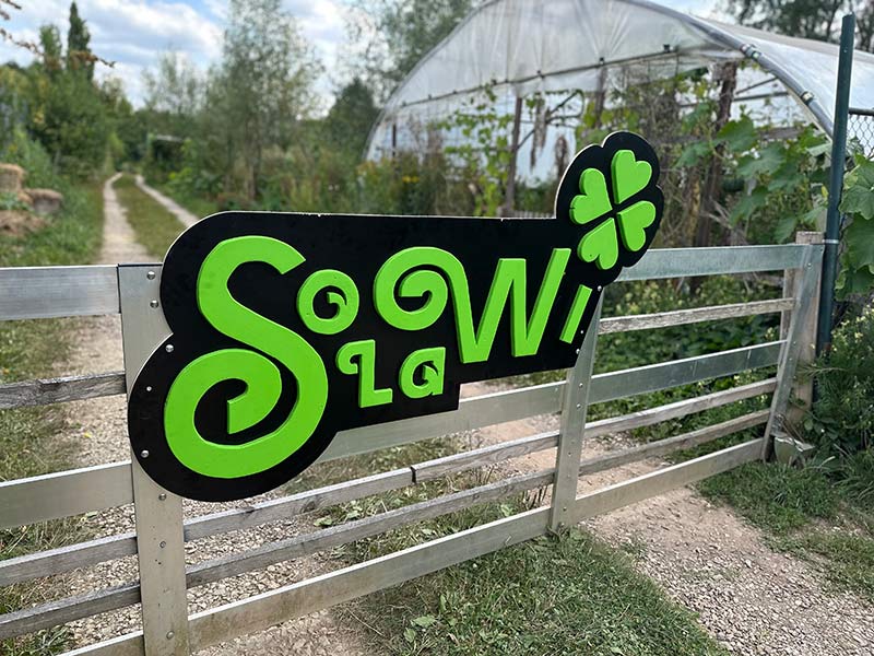 Solawi Gemeinschaftsgarten Trier, Skillsharing-Woche 2025, Workshop Schilderbau