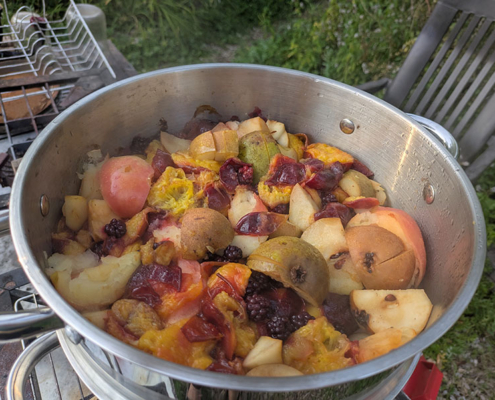 Workshop Umweltbildung Saft herstellen in der Solawi Trier
