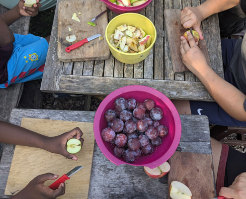 Workshop Umweltbildung Saft herstellen in der Solawi Trier