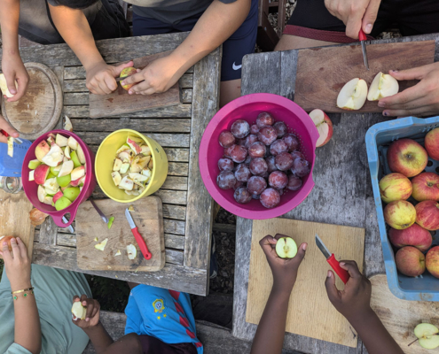 Workshop Umweltbildung Saft herstellen in der Solawi Trier Workshop Umweltbildung Saft herstellen in der Solawi Trier