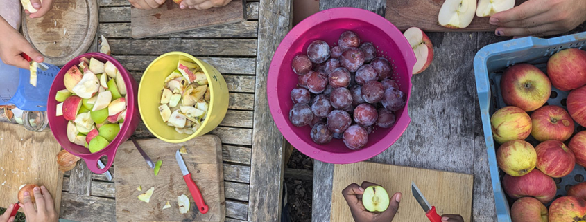 Workshop Umweltbildung Saft herstellen in der Solawi Trier