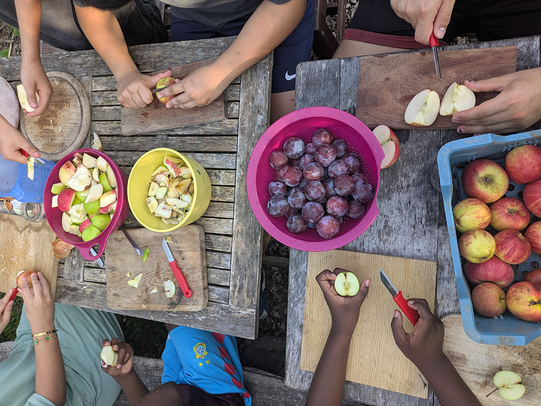 Workshop Umweltbildung Saft herstellen in der Solawi Trier