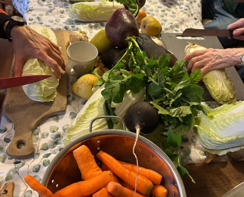 Kimchi-Workshop Kimchi-Workshop